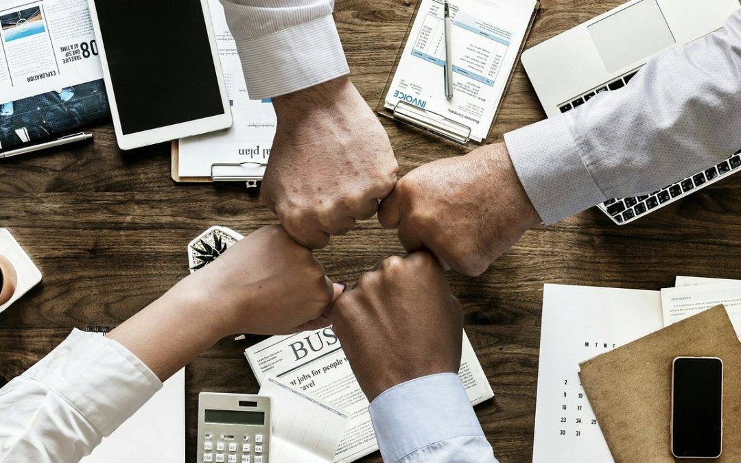 Quality Management System (QMS)